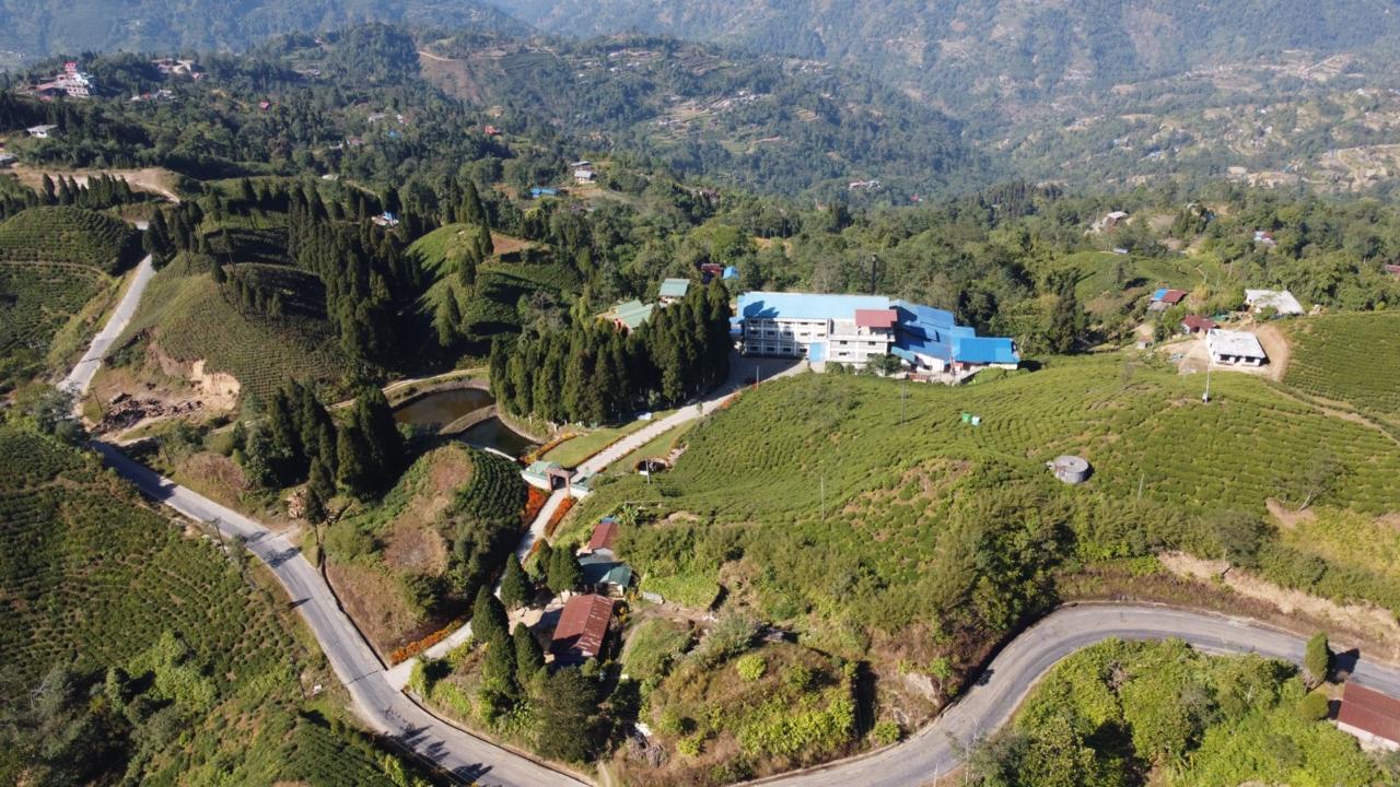 Aerial view of Gorkha Tea Estate and its high-altitude gardens in Ilam